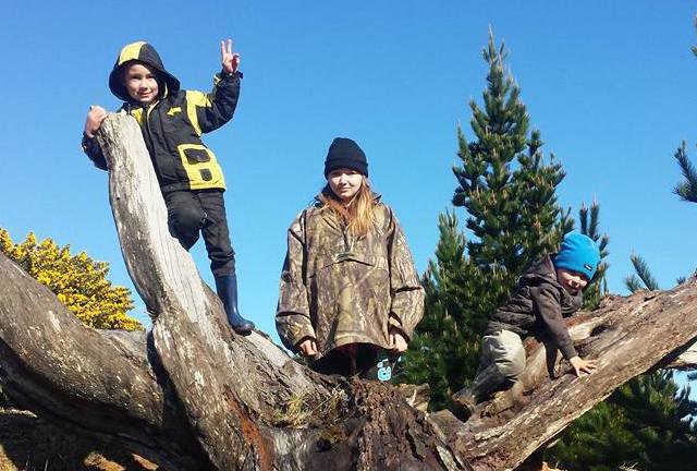 FAMILY HUNTING NZ - HOG DOGS NZ