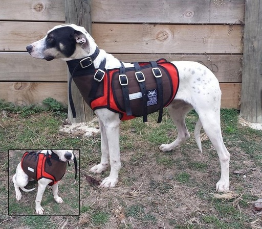 Defender Holder Rip Vest