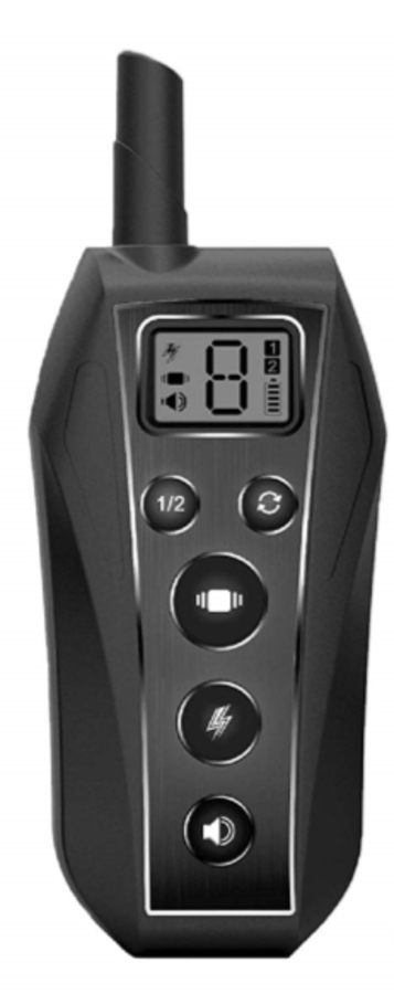 DTS600 Remote