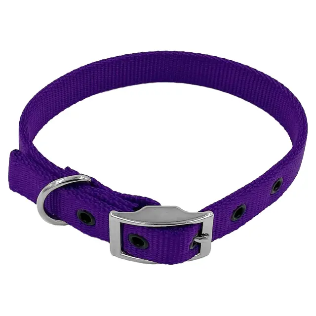 Taurus 19mm Purple Nylon Dog Collar