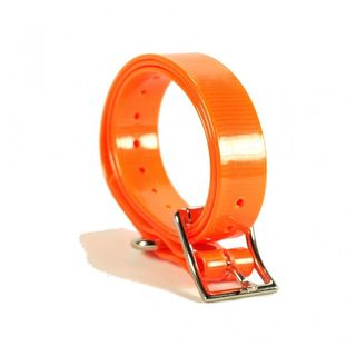 Dog Collars