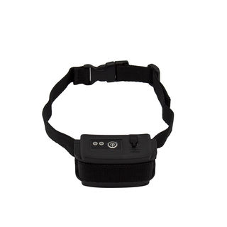 TT9 Collar