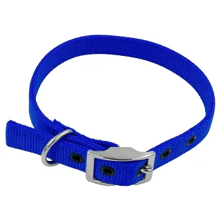 Taurus 25mm Blue Nylon Dog Collar