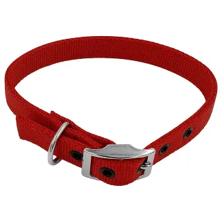 Taurus 25mm Red Nylon Dog Collar